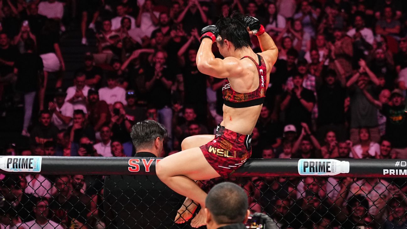 在国际赛事 在国际赛事